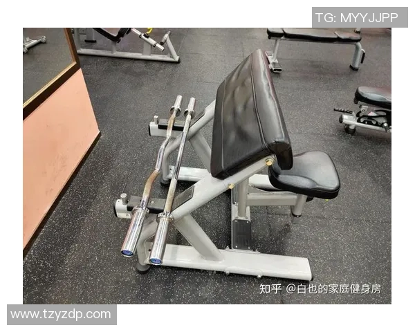 哑铃凳锻炼方法全解析提升肌肉力量与塑形效果的最佳选择